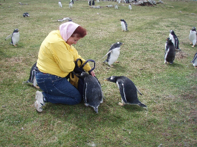 Jill's new friends