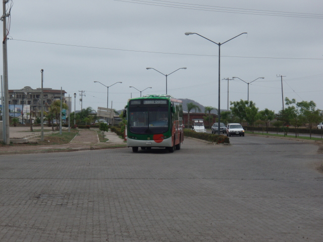 Green (Frog) bus