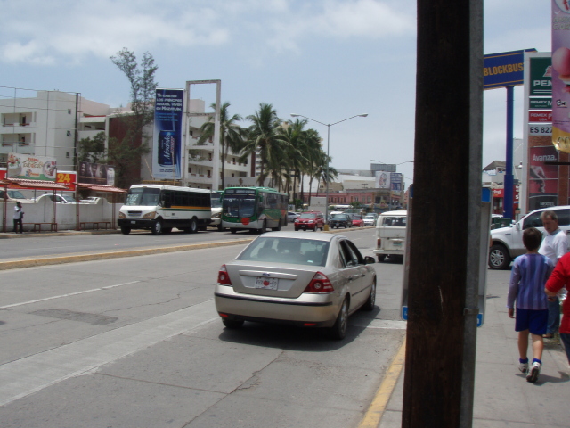 White buses