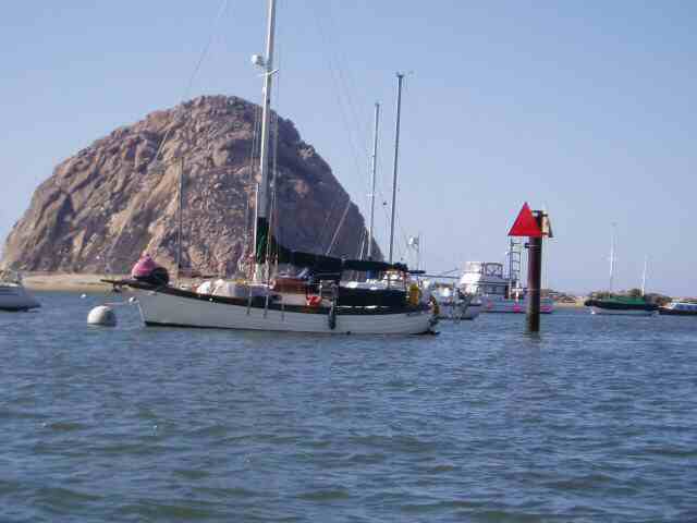 Guenevere at Morro Bay