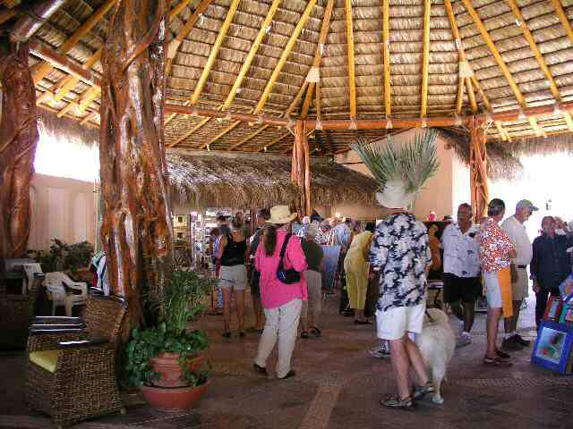 Los Barriles art show